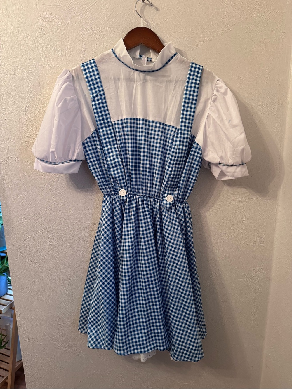 Dorthy Halloween Costume